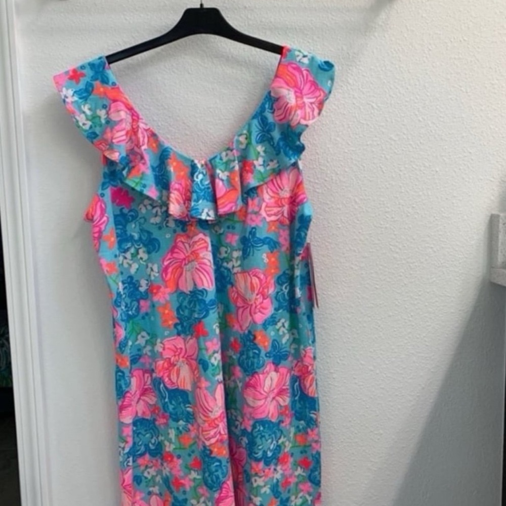Lilly Pulitzer Alessa Swing Dress - Picture 6 of 6